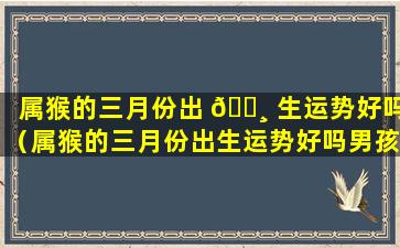 属猴的三月份出 🌸 生运势好吗（属猴的三月份出生运势好吗男孩）